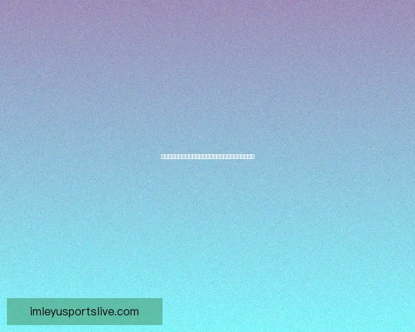 乐鱼体育欧洲杯精彩回顾与前瞻分析全面解读赛事热点与亮点