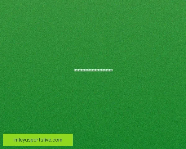 世界杯精彩竞猜平台助你轻松赢取丰厚奖励体验赛事激情